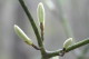 img0128.jpg
