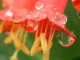 img0133.jpg