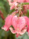 img0136.jpg