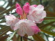 img0138.jpg
