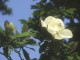 img0140.jpg
