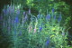 img0146.jpg