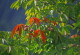 img0147.jpg