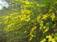 img0157.jpg