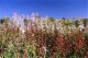 img0159.jpg