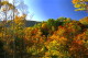 img0163.jpg