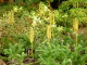 img0164.jpg