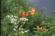 img0165.jpg
