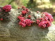 img0166.jpg