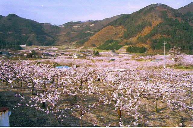 img0000.jpg