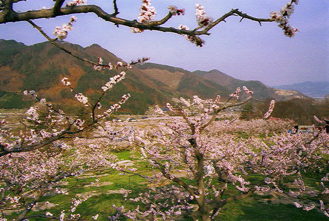 img0001.jpg