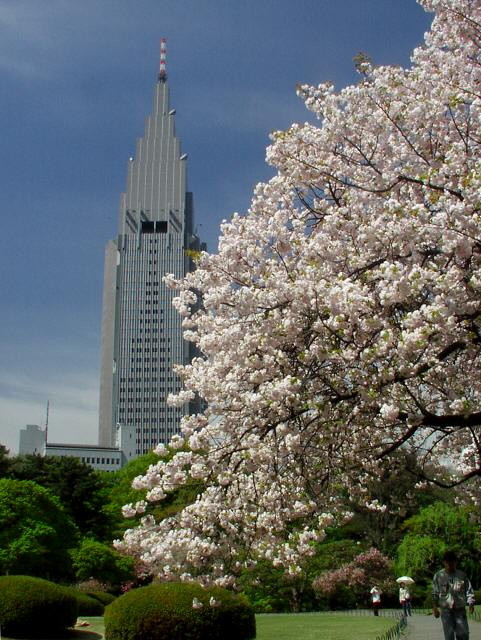 img0002.jpg