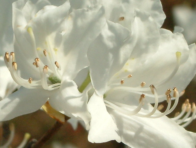 img0004.jpg