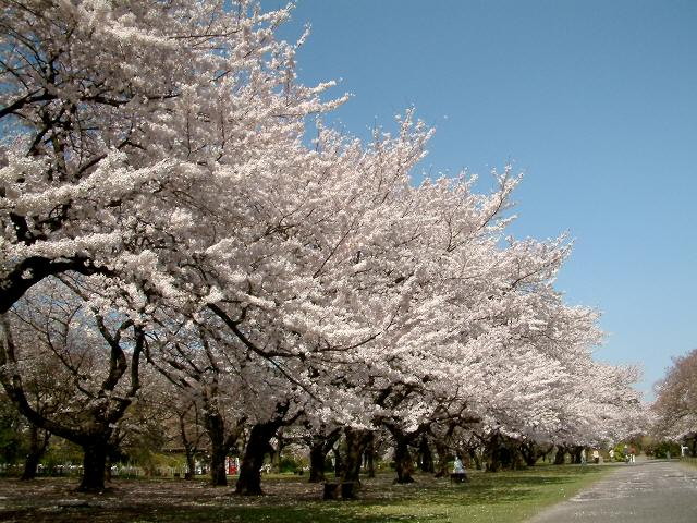 img0011.jpg