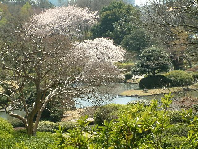 img0022.jpg