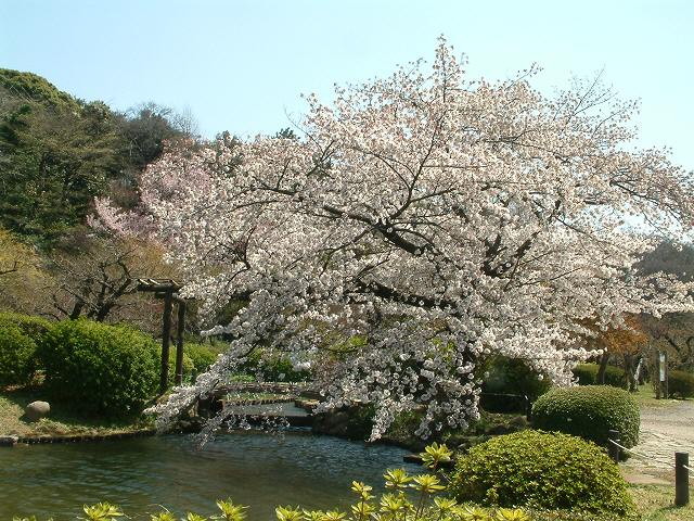 img0023.jpg