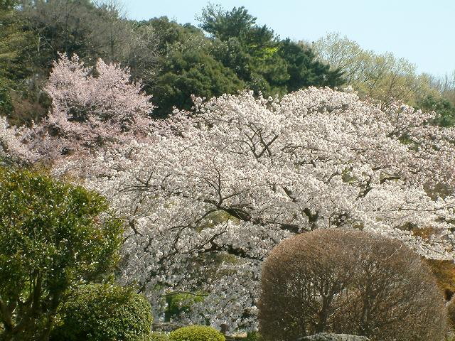 img0025.jpg