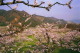 img0001.jpg