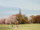 img0003.jpg
