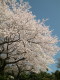 img0010.jpg