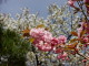 img0012.jpg