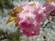 img0013.jpg