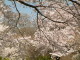 img0014.jpg