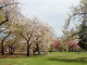 img0016.jpg