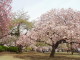 img0017.jpg