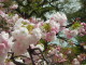 img0019.jpg
