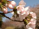 img0020.jpg