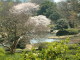 img0022.jpg