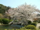 img0023.jpg