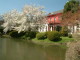 img0024.jpg