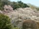 img0025.jpg