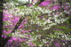 img0027.jpg