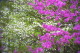 img0028.jpg