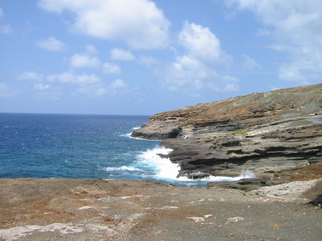 img0003.jpg