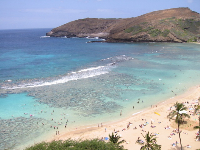 img0005.jpg
