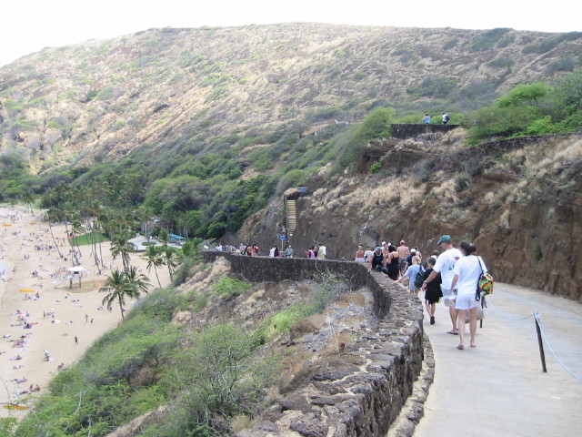 img0009.jpg