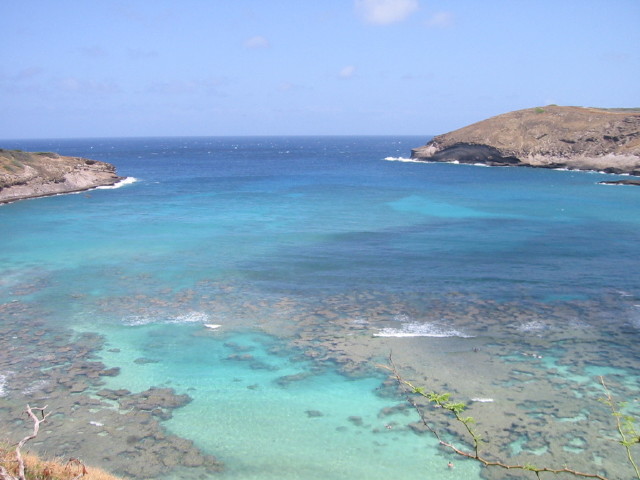 img0010.jpg