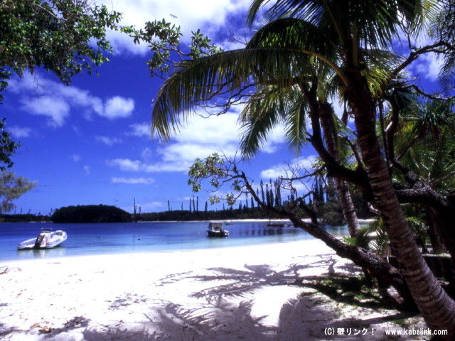 img0014.jpg