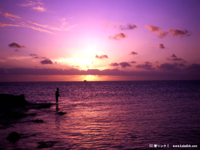img0019.jpg