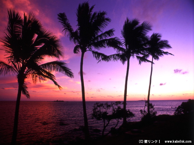 img0026.jpg
