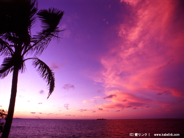 img0027.jpg