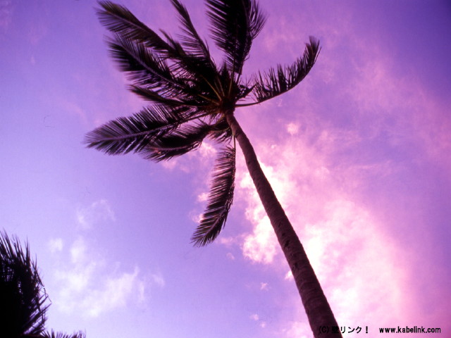img0028.jpg