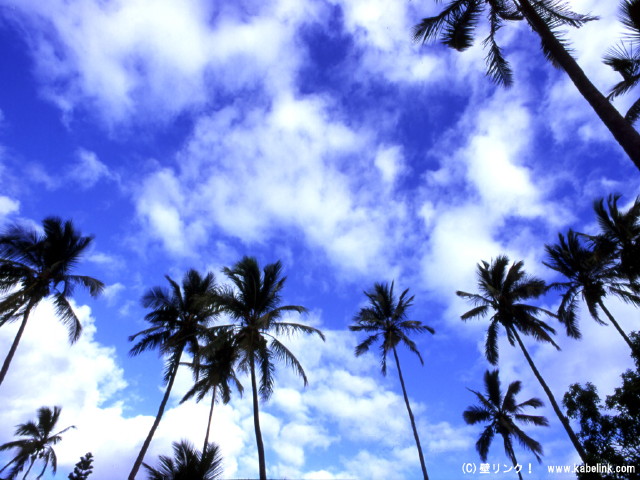 img0030.jpg