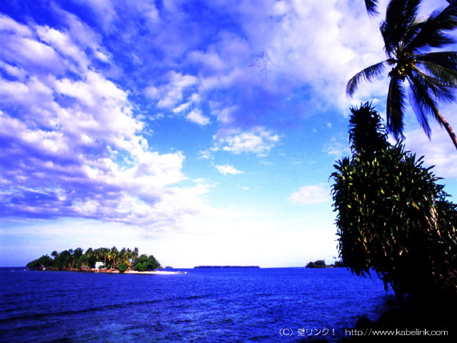 img0031.jpg