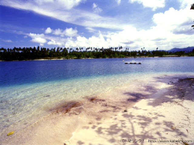 img0037.jpg