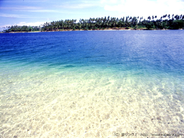 img0038.jpg